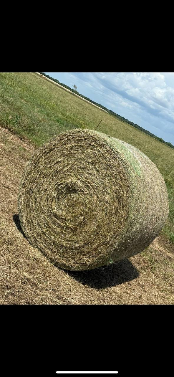 Horse Round Bale - Green & Gold