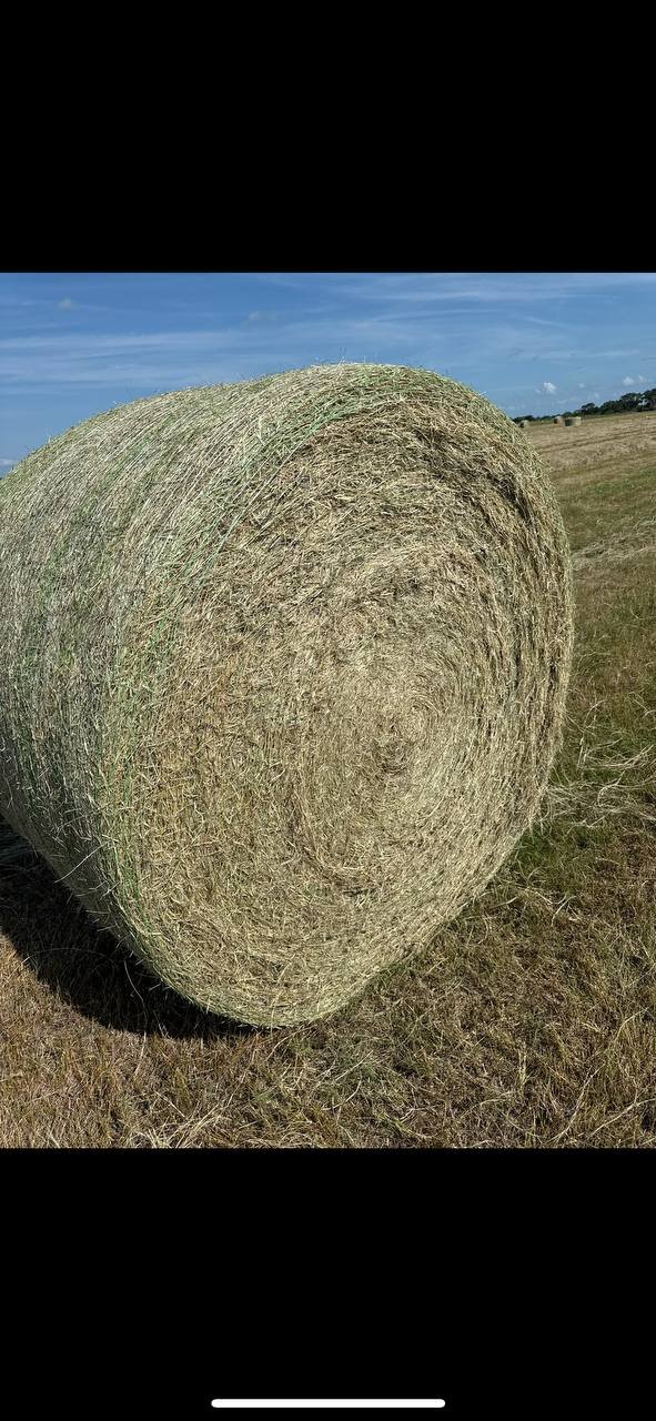 Horse Round Bale - Close Up