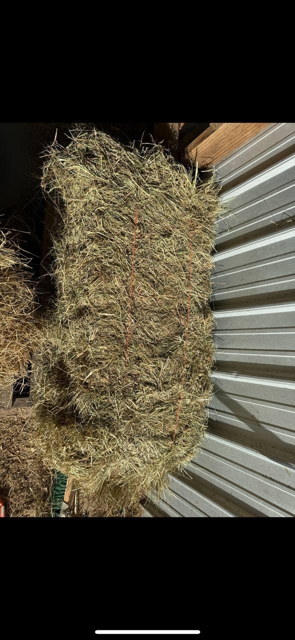 Square Bales - Vertical